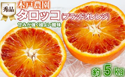 木戸農園のタロッコ（ブラッドオレンジ）約5kg（秀品）＜113-006_5＞