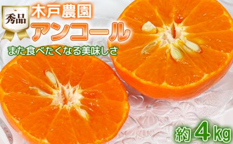 木戸農園のアンコール 約4kg（秀品） 先行予約 果物 柑橘類 フルーツ ＜113-003_5＞