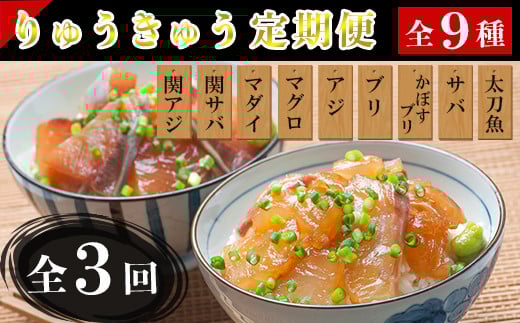 ＜3か月定期便＞りゅうきゅう9種定期便(関あじ・関さば・真鯛・本マグロ・豊後あじ・ぶり・かぼすぶり・豊後さば・太刀魚)[3種×各2食×3回] 海鮮丼 定期便 3回 3ヶ月 漬け丼 大分郷土料理 豊後絆屋 魚 冷凍 クール便 加工品 惣菜 刺身 海鮮 漬け 醤油漬 真空パック 小分け 関アジ 関さば 鯛 マグロ アジ ぶり かぼすぶり さば 太刀魚 ＜101-863＞