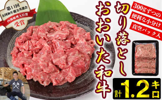 おおいた和牛切り落とし1.2kg（300g×4p） ※真空パック 【匠牧場】 牛肉 切り落とし すき焼き 牛 小分け 和牛 おすすめ 国産 おおいた和牛 バーベキュー 生産者応援の品 ＜102-002_5＞