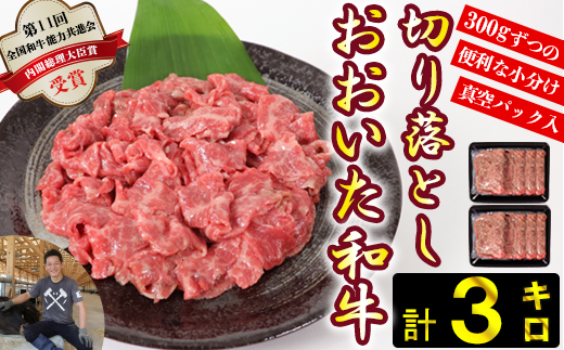 おおいた和牛切り落とし3kg（300g×10p） ※真空パック 【匠牧場】 牛肉 切り落とし すき焼き 牛 小分け 和牛 おすすめ 国産 おおいた和牛 おおいた和牛 バーベキュー 生産者応援の品 ＜102-004_5＞