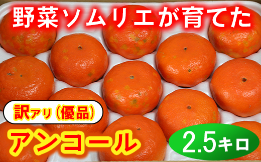 【訳あり・優品】野菜ソムリエ石児さんの「アンコール 2.5kg」 ミカン みかん 蜜柑 柑橘 訳あり 甘い 柑橘類 アンコール アンコールオレンジ フルーツ 先行予約 ＜103-018＞