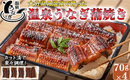 完全無投薬養殖！大分水産の温泉うなぎ蒲焼（カット）70g×4 ＜104-003_5＞ 70g×4