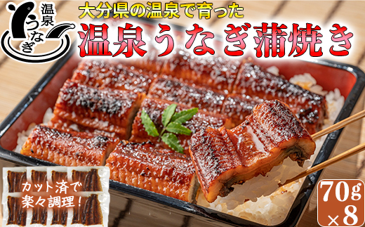 完全無投薬養殖！大分水産の温泉うなぎ蒲焼（カット）70ｇ×8 ＜104-004_5＞ 70g×8