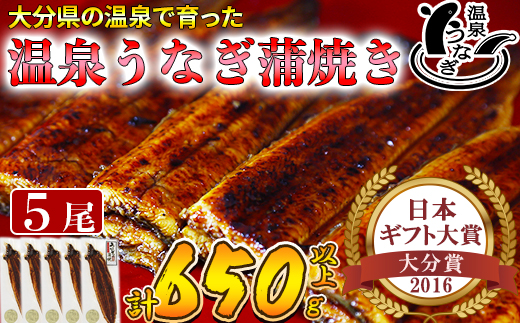 温泉うなぎ蒲焼 5尾（130gサイズ） 国産うなぎ ＜104-006_5＞