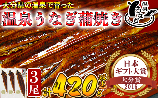 温泉うなぎ蒲焼 3尾（140gサイズ） 国産うなぎ ＜104-008_5＞