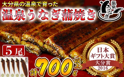 温泉うなぎ蒲焼 5尾（140gサイズ） 国産うなぎ ＜104-009_5＞