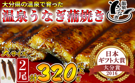 温泉うなぎ蒲焼 2尾（160gサイズ） 国産うなぎ ＜104-011_5＞