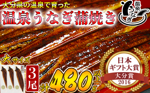 温泉うなぎ蒲焼 3尾（160gサイズ） 国産うなぎ ＜104-012_5＞