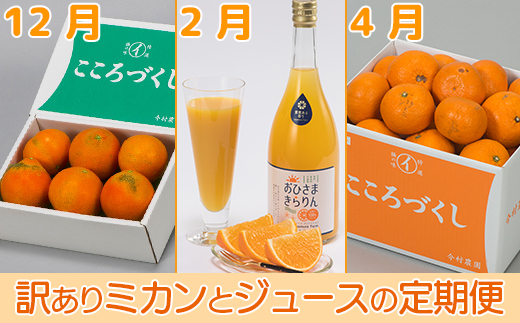 今村農園の訳ありミカンとジュースの定期便（１２月・２月・４月）【まんぞくコース】＜107-801_7＞