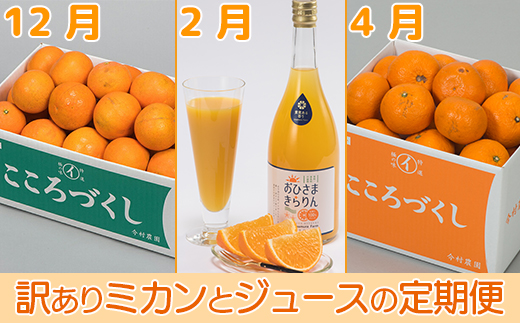 今村農園の訳ありミカンとジュースの定期便（１２月・２月・４月）【たっぷりコース】＜107-802_7＞