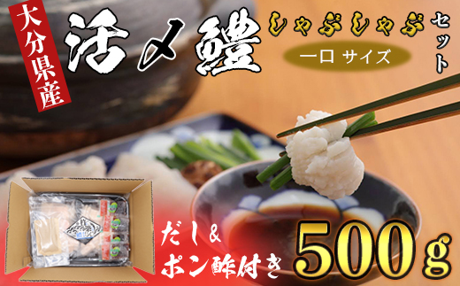 大分県産活じめ鱧（はも）しゃぶしゃぶセット 500g [3～5人前]＜108-009_5＞
