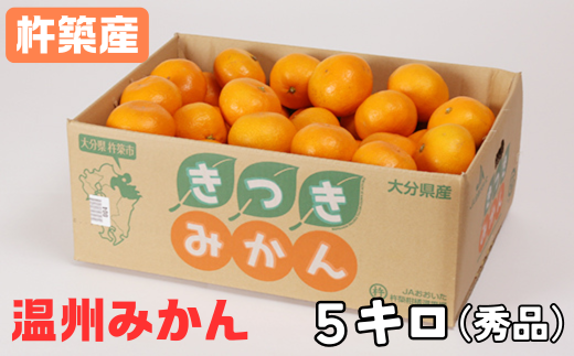 杵築産 温州みかん5kg（秀品） ／ ミカン みかん 蜜柑 柑橘類 5kg 11月 12月 1月 先行予約 温州みかん フルーツ ＜132-001＞