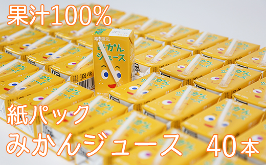 果汁100％ 紙パック みかんジュース 125ml×40本＜131-010＞
