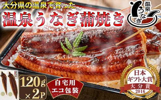 完全無投薬養殖！温泉うなぎ蒲焼 2尾（120gサイズ） 自宅用 エコ包装  ＜104-067＞