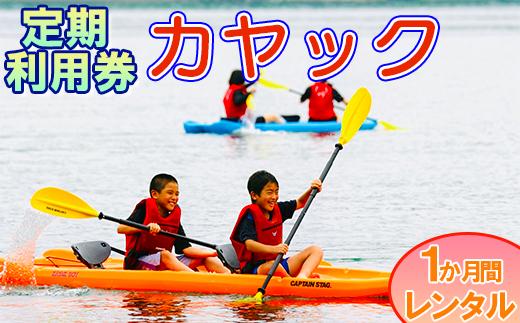 【会員チケット】カヤック 1か月 レンタル 定期利用券 マンスリーパス  【マリンショップBUZZ】＜163-011＞