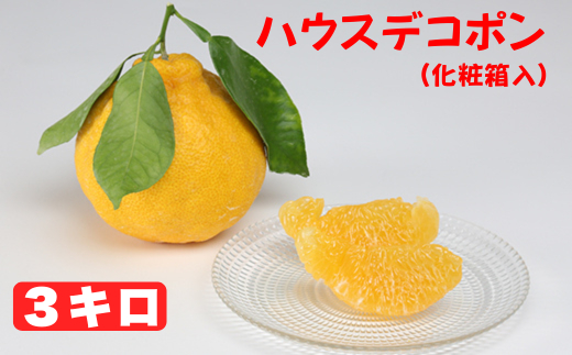 ハウスデコポン 約3kg（化粧箱入） ／ みかん ミカン 蜜柑 柑橘類 デコポン 不知火 3kg 先行予約 フルーツ ＜132-003＞