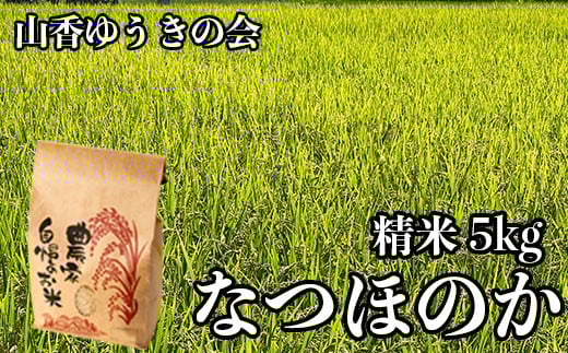 【 令和7年産 新米 】山香ゆうきの会の米 5kg（精米：なつほのか） 新米 5kg 米 ＜002-010＞