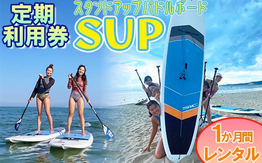 【会員チケット】SUP 1か月 レンタル 定期利用券 マンスリーパス 【マリンショップBUZZ】＜163-010＞