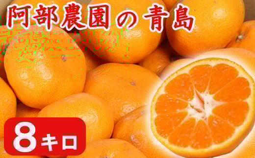 【訳あり品】阿部農園の「青島 約8kg」 ／ ミカン みかん 蜜柑 柑橘類 糖度 訳あり 1月 1月発送 1月配送 先行予約 甘い 温州みかん 温州 フルーツ ＜112-003＞