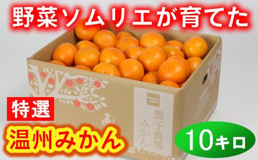 野菜ソムリエ石児さんの「特選 温州みかん 10kg」 ミカン みかん 蜜柑 柑橘 10kg 柑橘類 甘い 温州みかん フルーツ 1月 1月発送 1月配送 ＜103-007＞