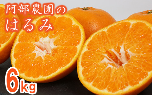 【訳あり品】阿部農園の「はるみ 約6kg」 ／ ミカン みかん 蜜柑 柑橘類 はるみ 先行予約 2月 訳あり 数量限定 フルーツ ＜112-008＞