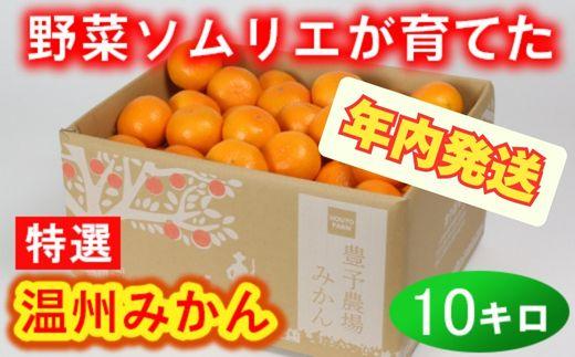 【12月24日決済分まで年内発送】野菜ソムリエ石児さんの「特選 温州みかん 10kg」 ミカン みかん 蜜柑 柑橘 10kg 柑橘類 甘い 温州みかん フルーツ 年内配送 年内発送 12月発送 12月配送 12月＜103-007＞