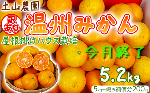 【訳あり】土山農園の温州みかん 屋根掛けハウス栽培 5kg＋傷み補償分200g 家庭用 （宮川早生と興津早生の混合）先行予約 柑橘類 フルーツ 12月 1月＜050-001＞