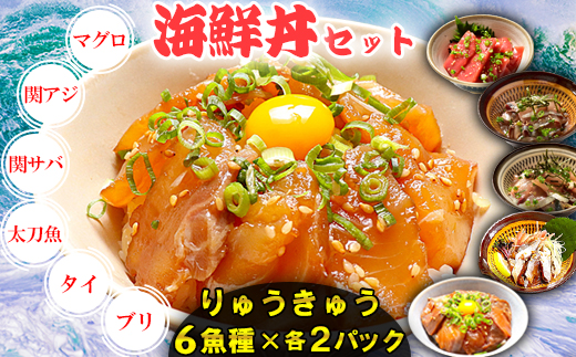 【年内発送】りゅうきゅう6種(本マグロ・関あじ・関さば・太刀魚・真鯛・ぶり)[各2食セット] 海鮮丼 漬け丼 大分郷土料理 豊後絆屋 魚 冷凍 加工品 惣菜 おすすめ おいしい 刺身 詰め合わせ おせち セット 産地直送 国産 海鮮 漬け 真空パック 小分け 惣菜 人気 鮪 マグロ まぐろ 関アジ 関あじ 関サバ 関さば  太刀魚 タチウオ たちうお 鯛 タイ たい 鰤 ブリ ぶり ＜101-005＞