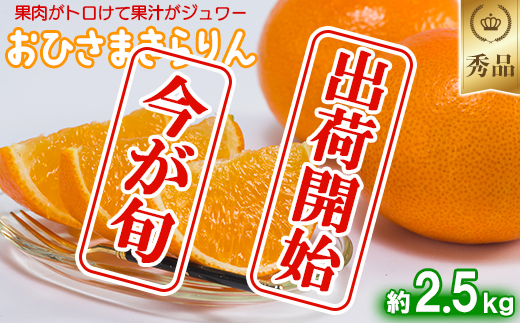今村農園のおひさまきらりん 約2.5kg【秀品】 フルーツ みかん 果物 先行予約 ＜107-024_6＞