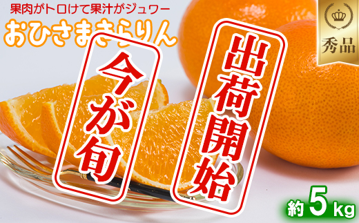 今村農園のおひさまきらりん 約5kg【秀品】 フルーツ みかん 果物 先行予約 ＜107-025_7＞