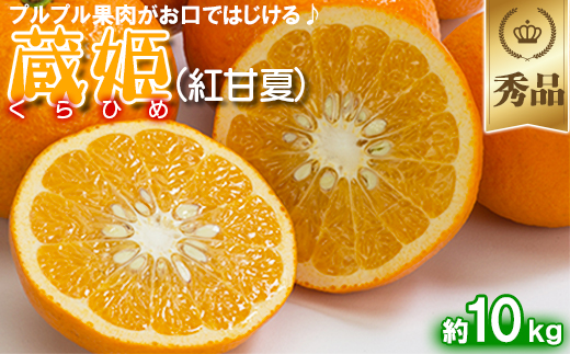 今村農園の蔵姫くらひめ（紅甘夏） 約10kg【秀品】 フルーツ みかん 果物 先行予約 ＜107-033_7＞