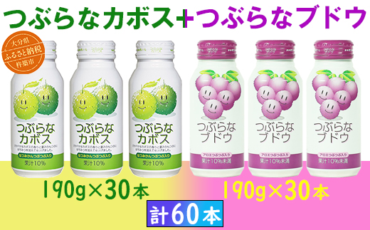 つぶらなカボス30本+つぶらなブドウ30本(計60本・各1ケース)190g / つぶらな つぶらなカボス つぶらなブドウ ジュース かぼすドリンク 清涼飲料水 人気 子供 おすすめ 果汁飲料 ご当地ジュース かぼす ぶどう ぶどうジュース 飲料 60本 飲み比べ 詰めあわせ ギフト プレゼント セット 贈答 家庭用 JAフーズおおいた [131-204_6]