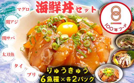 りゅうきゅう6種(本マグロ・関あじ・関さば・太刀魚・真鯛・ぶり)[各2食セット] 海鮮丼 漬け丼 大分郷土料理 豊後絆屋 魚 冷凍 クール便 加工品 惣菜  刺身 おせち セット 国産 海鮮 漬け 醤油漬 真空パック 小分け 惣菜 鮪 マグロ まぐろ 関アジ 関あじ 関サバ 関さば 太刀魚 鯛 鰤 100年フード ＜101-005_5＞