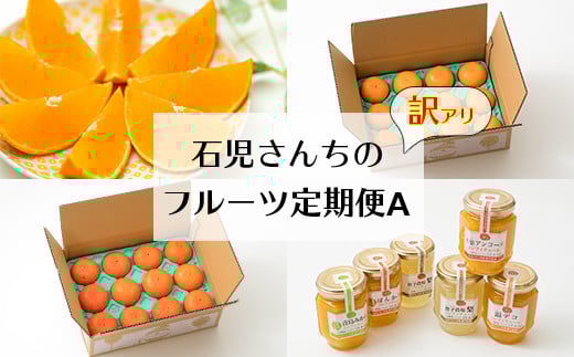 野菜ソムリエ石児さんの訳ありフルーツ定期便A（1月・2月・3月・4月） ミカン みかん 蜜柑 柑橘類 定期便 訳あり 先行予約 せとか アンコール 1月 2月 3月 4月 フルーツ ＜103-801＞