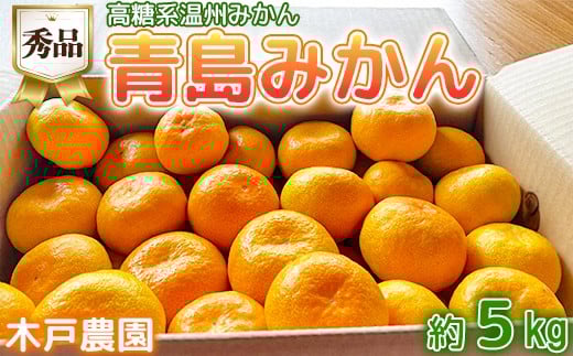 高糖系温州みかん 木戸農園の青島 約5kg （秀品） 先行予約 果物 柑橘類 フルーツ ＜113-019＞