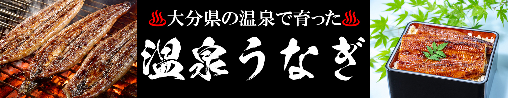 温泉うなぎ
