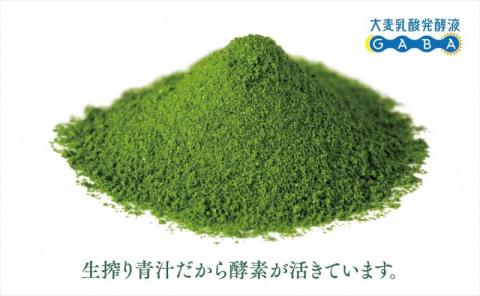 大麦若葉青汁 大麦のちから(計90g・3g×30袋)青汁 大麦若葉 GABA 飲料 粉末 常温【101601900】【江戸心本館USA　未来ファクトリー事業部】