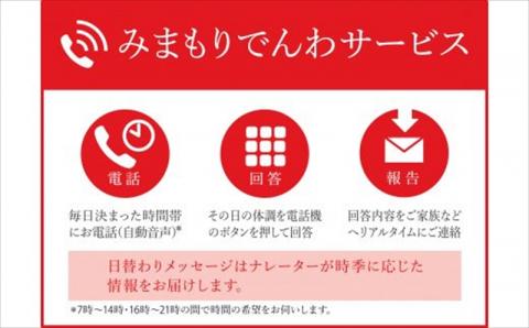 みまもりでんわサービス(6か月・携帯電話)電話 サービス 郵便局 見守り 携帯電話 日本郵便 家族【107500400】【日本郵便】