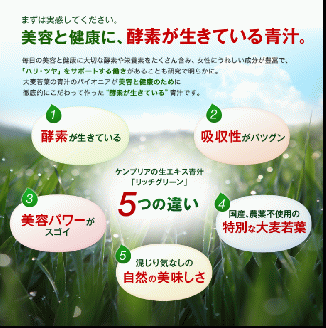 リッチグリーン(計270g・3g×30スティック×3個)青汁 スムージー 大麦若葉 飲料 粉末 常温【103100500】【ケンプリア】