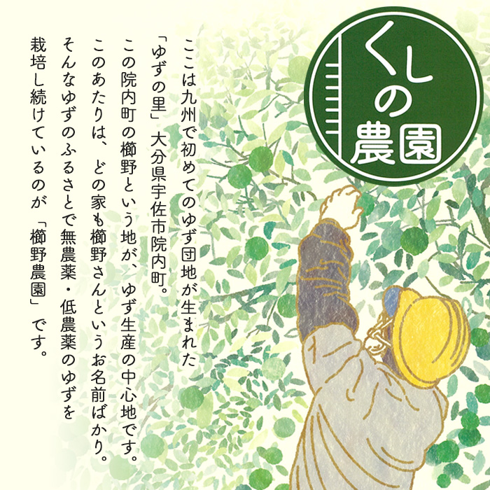 ゆず蜜セット(計900ml・300ml×3本)ゆず 柚子 自家製 果汁100％ はちみつ 蜂蜜 大分県産 セット【100600100】【櫛野農園】