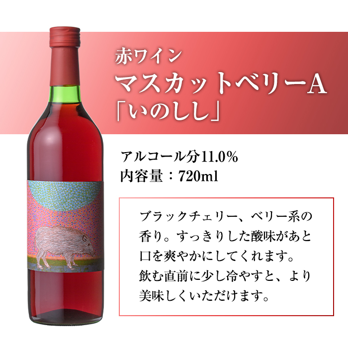 赤ワイン＆微発泡ピオーネ(合計1.05L・2本)ワイン 赤ワイン 酒 お酒 アルコール 微発泡 甘口 甘口ワイン ピオーネ ぶどう 葡萄 安心院産 飲み比べ セット【100800601】【百笑一喜】