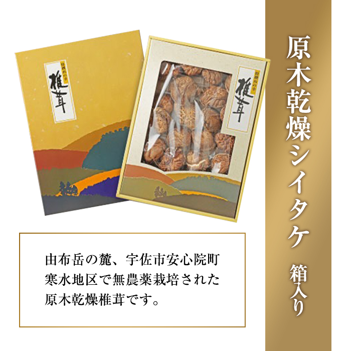 無農薬原木乾燥シイタケ・箱入り(約160g)原木 乾燥 干し椎茸 乾椎茸 しいたけ きのこ 出汁 大分県産【100801500】【百笑一喜】