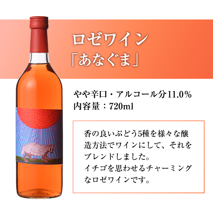 ワイン2本セット(ロゼワイン×2本)酒 お酒 アルコール ぶどう 葡萄 安心院産 飲み比べ セット 安心院＊小さなワイン工房 【100802701】【百笑一喜】