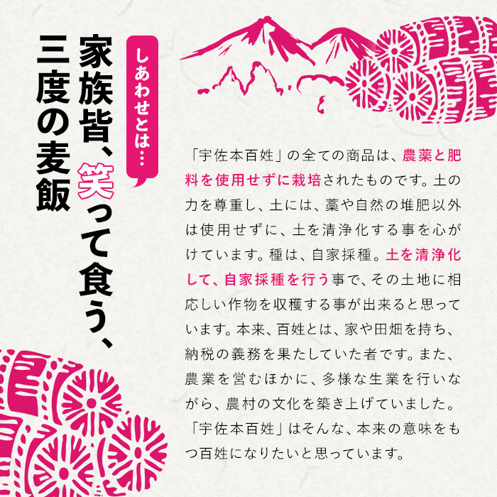 しあわせ米の昔ながらのあまざけ 贈答セット(赤×赤)(計1.8L・900ml×2本)甘酒 あまざけ 米糀 糀 発酵食品 飲む点滴 健康 美容 贈答 セット【101000201】【宇佐本百姓】