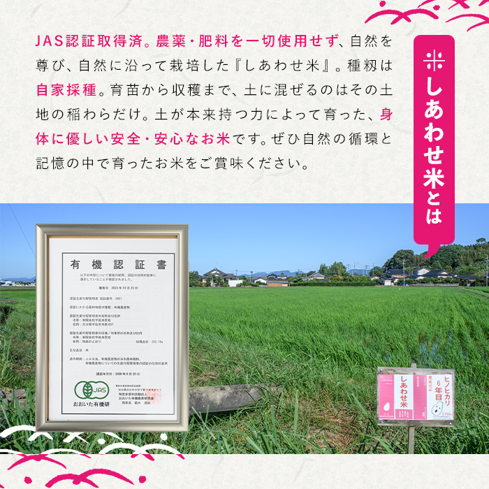 ＜先行予約受付中！12月以降発送予定＞＜令和7年産・新米＞しあわせ米 精米 真空パック(計1.8kg・900g×2袋) お米 白米 常温 常温保存 小分け【101000800】【宇佐本百姓】