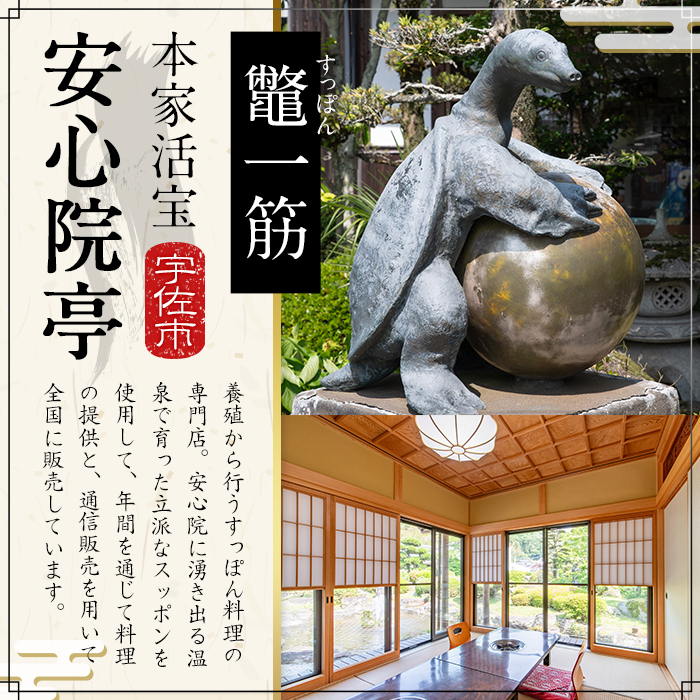 スッポンスープ(合計1.9kg・190ｇ×10缶)すっぽん スッポン 鼈 スープ 和風 雑炊 うどん お吸い物 だし汁 常温 常温保存 【101800300】【塚崎薬品工業】