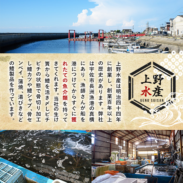 大分県産 舌ビラメ一夜干し(計約500g・3~5枚入×3袋) 魚介 ヒラメ 冷凍 一夜干し 甘塩 干物 勝負めし 【101900300】【上野水産】