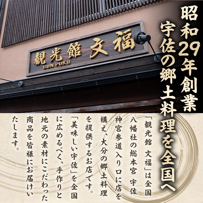宇佐名物 文福のネギだれ (計1.08kg・180g×6P) ネギ ねぎ 葱 たれ タレ 勝負めし【102200400】【観光館　文福】