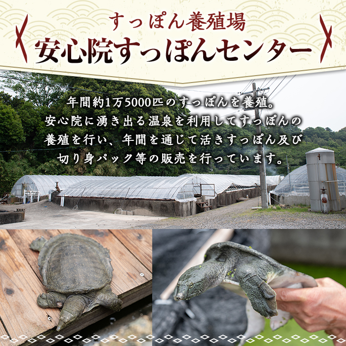 安心院べっぴんこらーげんスープ(計1.2kg・200g×6P)すっぽん スッポン コラーゲン レトルト 小分け 冷蔵【102700500】【安心院すっぽんセンター】
